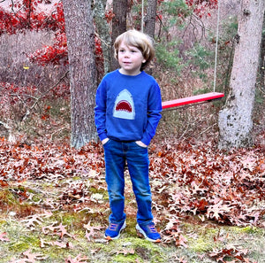 REMY Shark Sweater for Kids