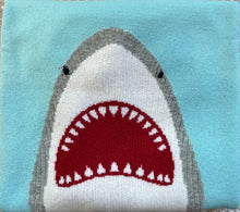 Load image into Gallery viewer, REMY Shark Cashmere sweater